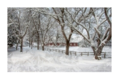Beautés hivernales sur le Ch. Richford © Nicole Houde